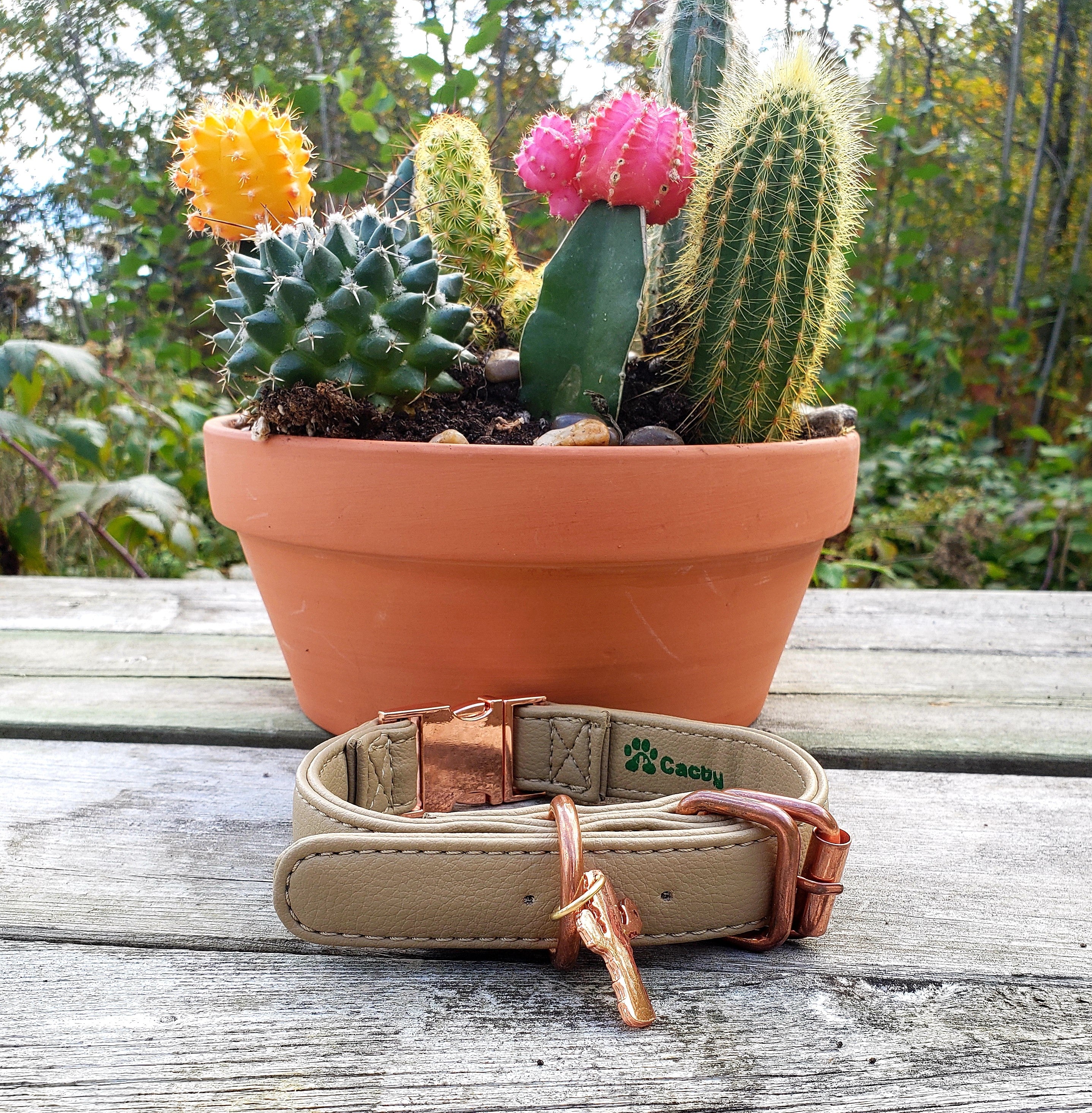 Cream Lux Cactus Leather Collar