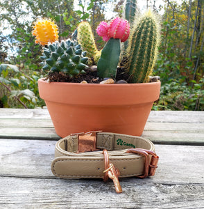 Cream Lux Cactus Leather Collar